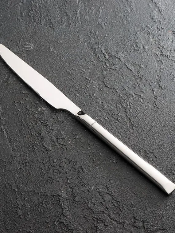 Нож столовый Magistro, h=23 см, цвет серебряный