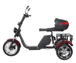 Электроскутер SKYBOARD CITYCOCO TRIKE BR80