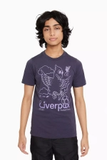 Футболка Nike Liverpool FC 23/24 Air Junior