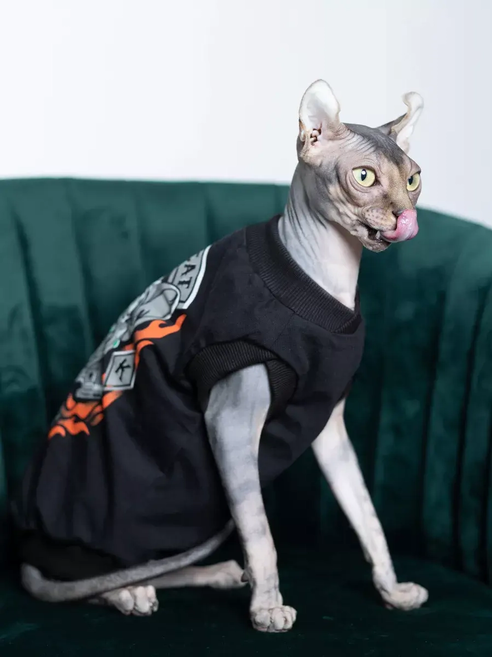 Одежда для кошек сфинкс