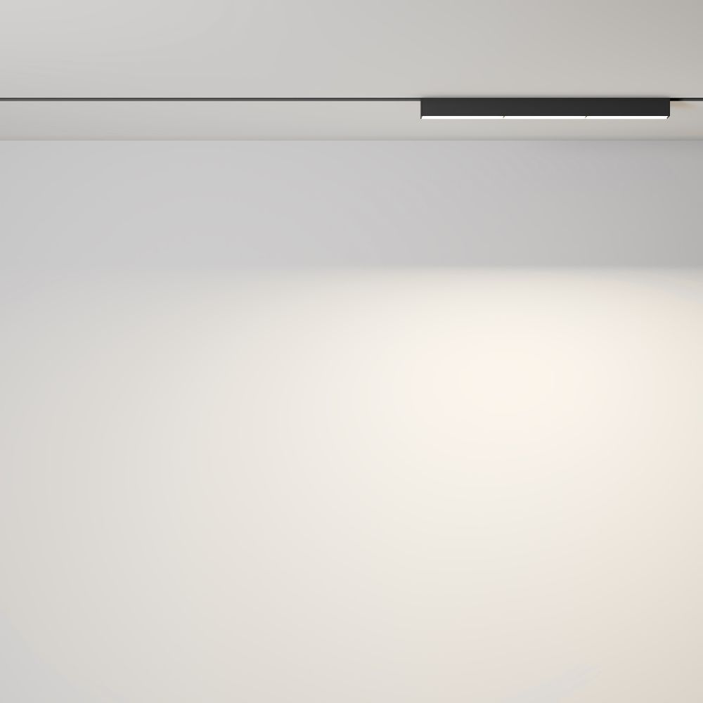 Трековый магнитный светодиодный светильник Maytoni   TR106-2-18W3K-B