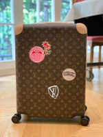 Louis Vuitton Horizon 55 Suitcase