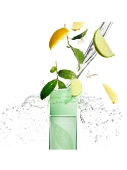 Туалетная вода Green Tea, 50 мл