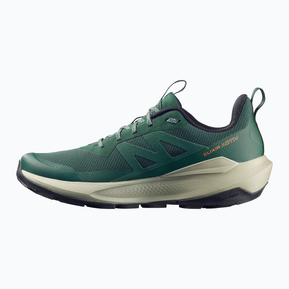 Ботинки Salomon Elixir Activ GTX scarab/green gable
