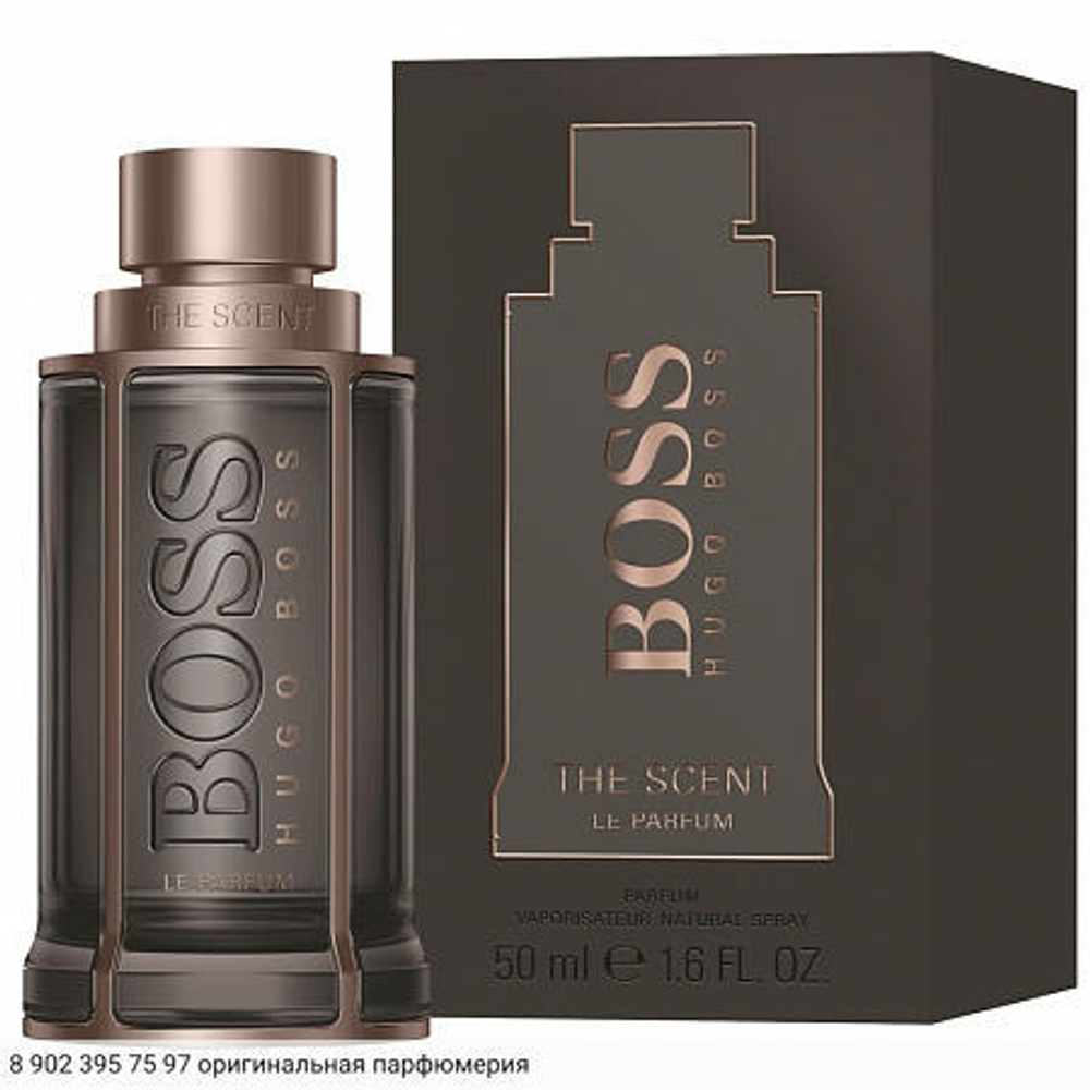 The Scent Le Parfum for Him