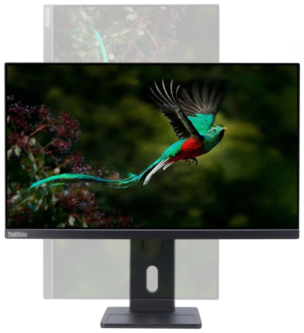 Монитор 23.8" Lenovo ThinkVision E24q-30 63ECGAT2EU черный