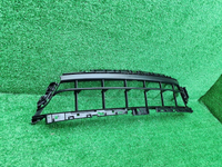 Решетка перед бампера Porsche Panamera 971 (20-24)