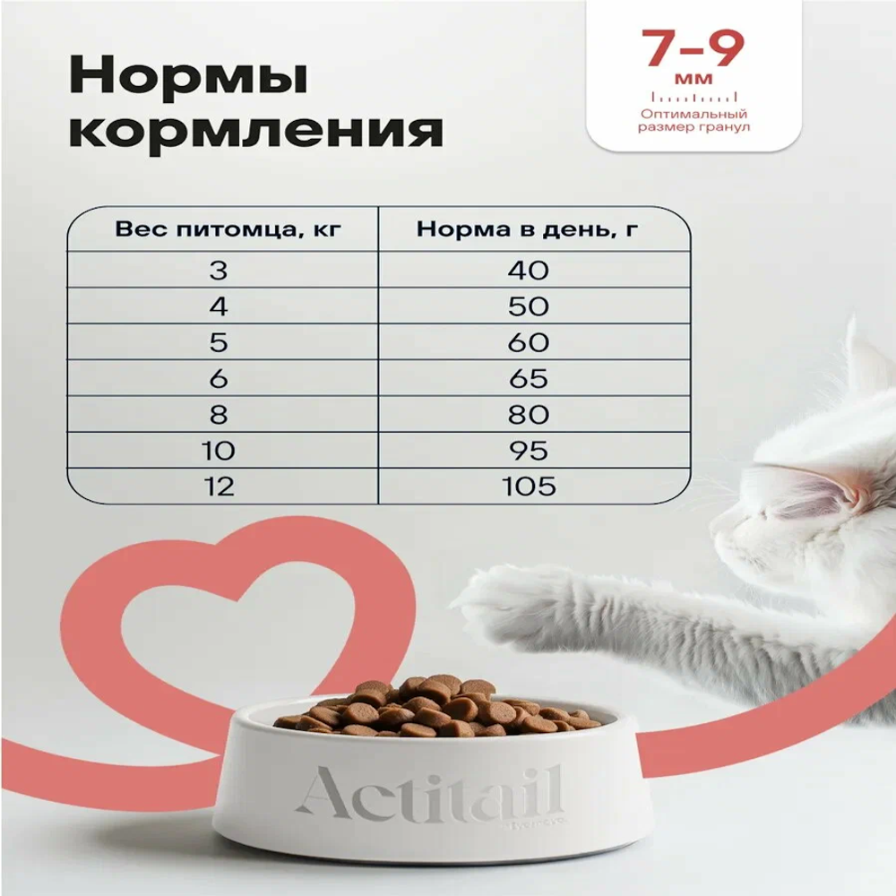 Сухой корм Actitail для красивой шерсти и здоровья кожи кошек с лососем и добавлением овощей