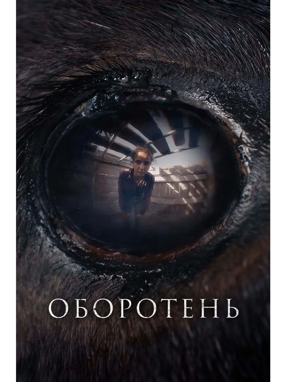 Оборотень (2024) (DVD-R)