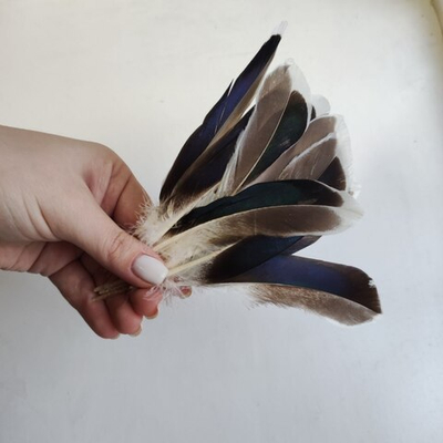 Перья кряквы естественные 2 сорт 10 шт.