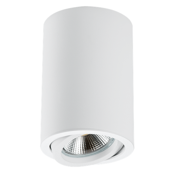 Потолочный светильник Lightstar Rullo 214406