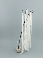 Водоросль ампельная на ветке белая