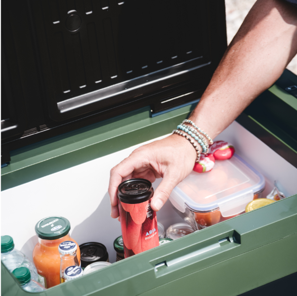Автохолодтльник компрессорный Indel B Travel Box ITB52 12/24В