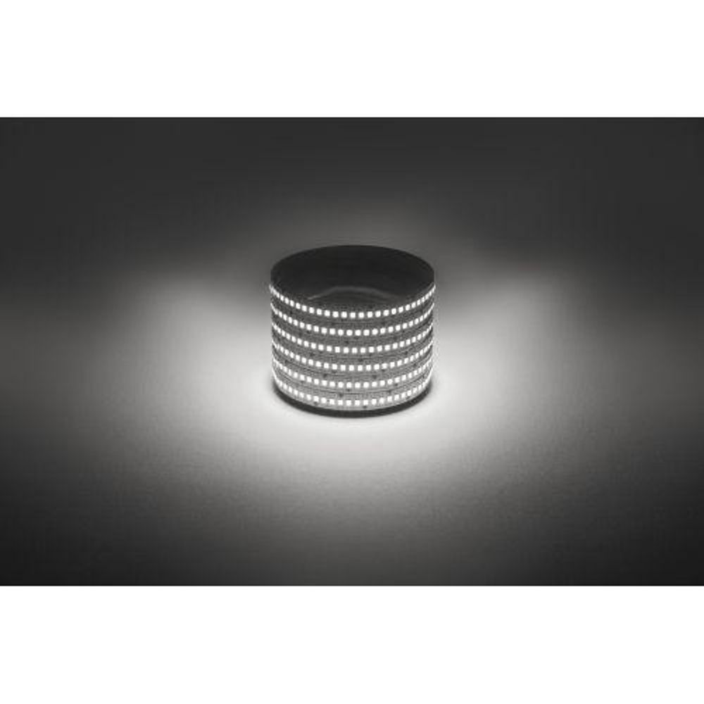 Лента светодиодная LS2835 -19.2-240-12-4000K-IP20-1 year-5m нейтр. бел. (уп.5м) Эра Б0059907 Лента светодиодная LS2835 -19.2-240-12-4000K-IP20-1 year-5m нейтр. бел. (уп.5м) Эра Б0059907