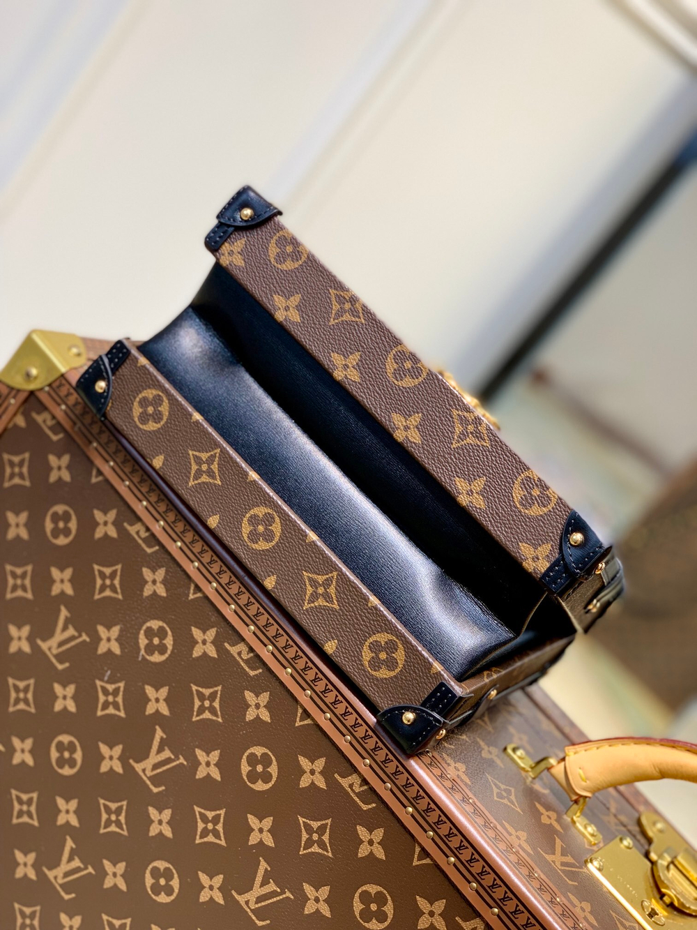 Louis Vuitton Petite Malle V Bag