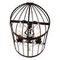 Бра Loft IT Vintage Birdcage Loft1891W