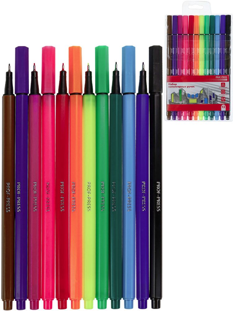 Ручка капиллярная линер набор 12 цвета(ов) ПРОФ-ПРЕСС 0,4 мм (НР-4743)