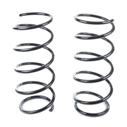 Пружины GANZ передние L R RENAULT Kangoo 1.2 / 1.4 / 1.6L all - 08 (комплект из 2шт)