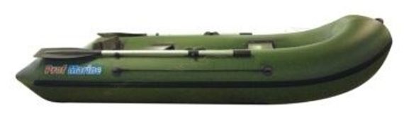 Надувная лодка Profmarine PM 300 ЕL 9 зеленый