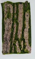 Кора на мху / Арт 9042