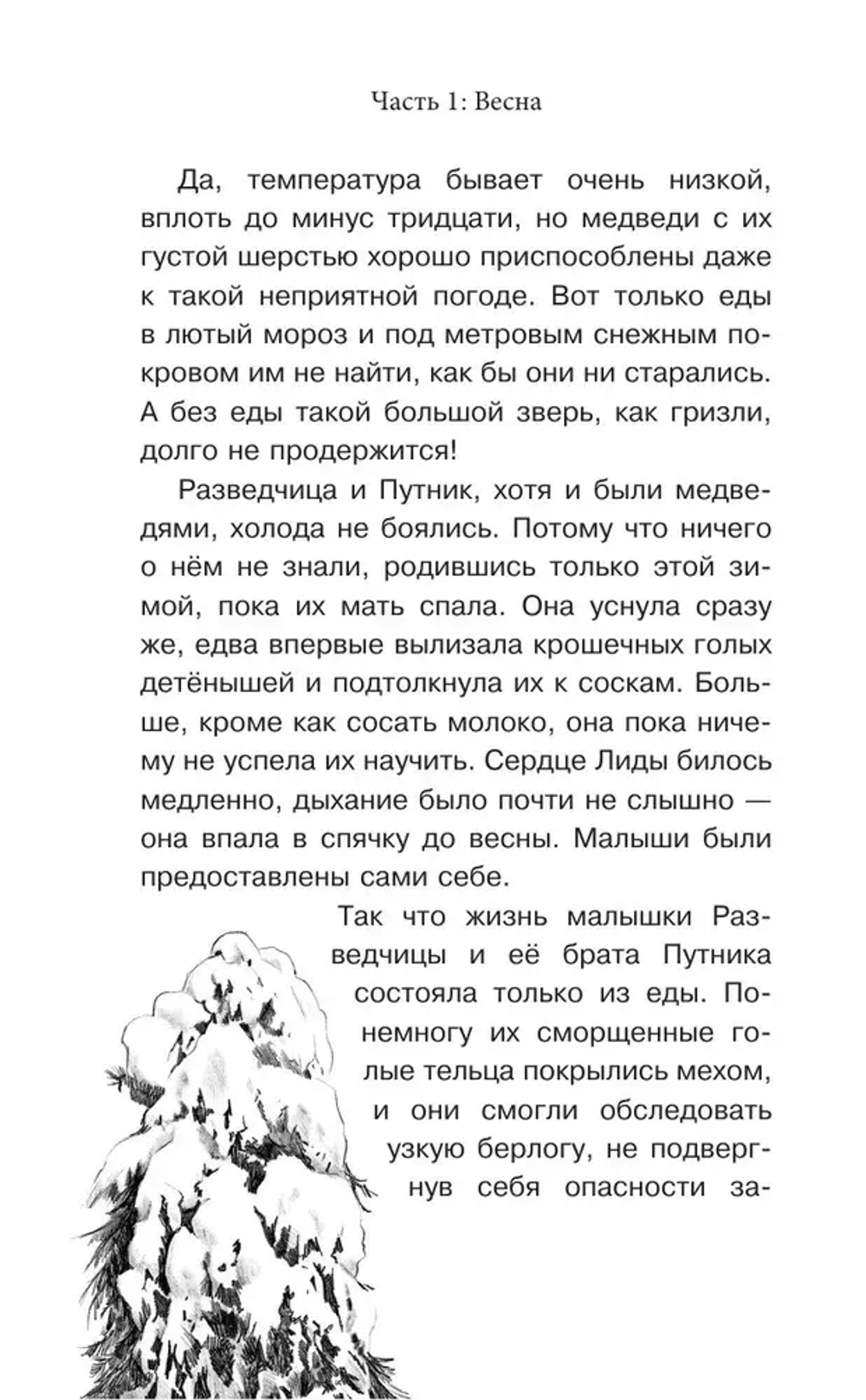 Король медведей