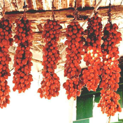 Помидоры - Pomodorino del Piennolo del Vesuvio - Черри Пьенноло Дель Везувио