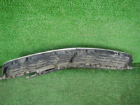 DSCN7842.JPG