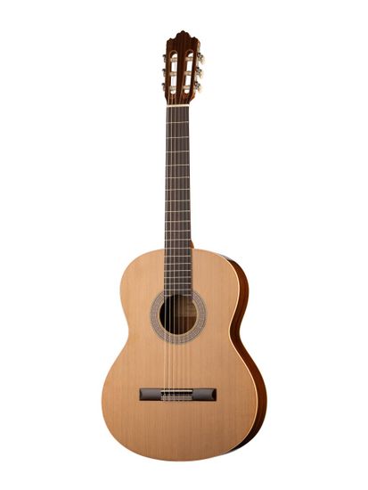 Классическая гитара 4/4 Prodipe JMFRECITAL200 Recital 200