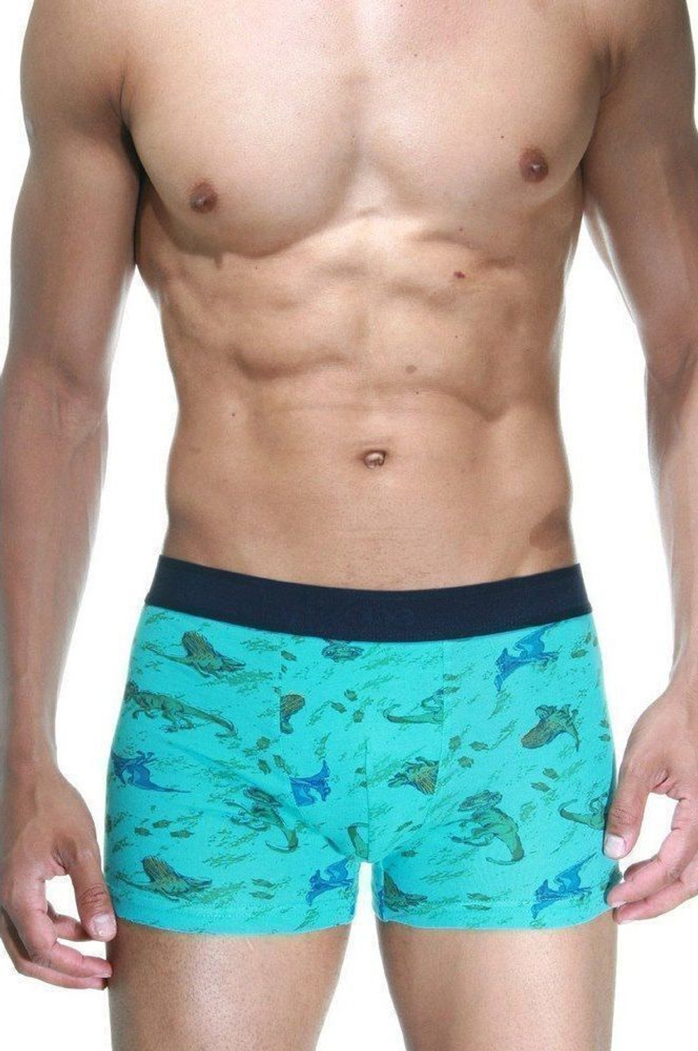 Бирюзовые трусы-боксеры с принтом в виде динозавров (Размер: M) (Цвет: бирюзовый)