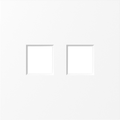 Накладка 2-я для розеток RJ45, TV, SAT, глянцевый белый, серия S08