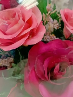 натуральные розы в стекле, вакуум