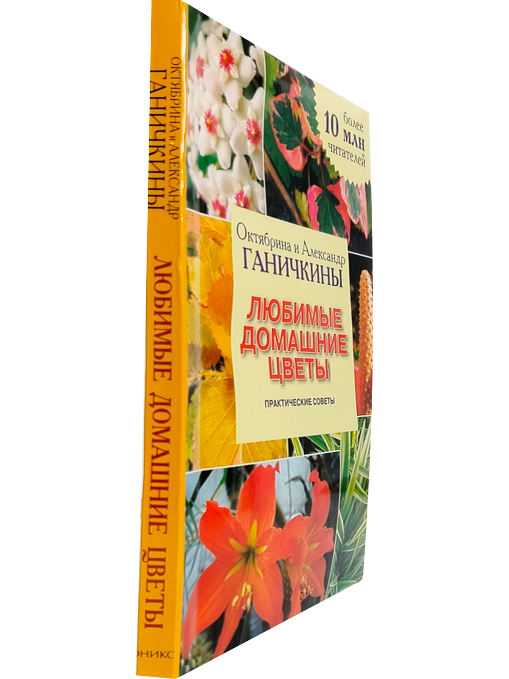 Любимые домашние цветы. Практические советы