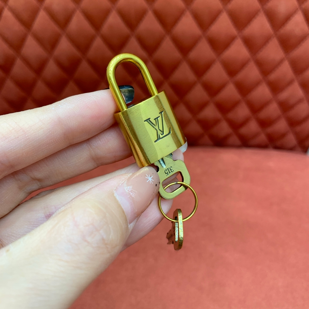 Louis Vuitton Speedy P9 Bandouliere 25