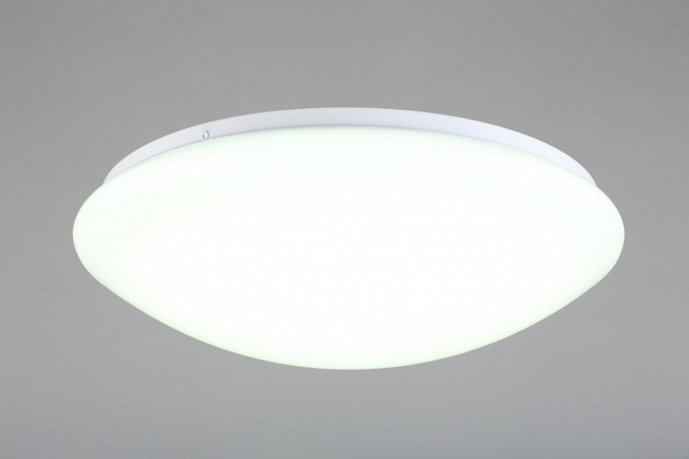 Накладной светильник Omnilux Berkeley OML-43007-40
