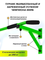 Турник Настенный AKTIV Черный