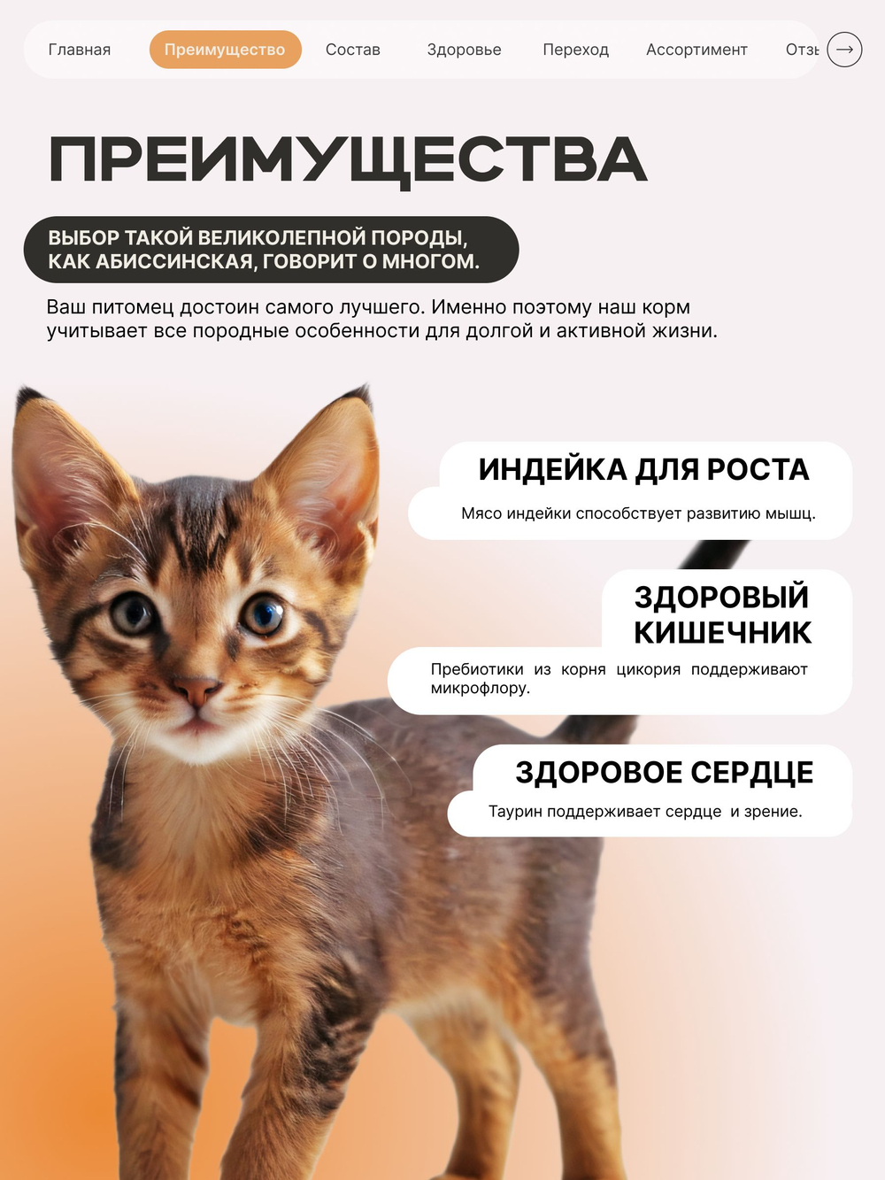 Корм сухой для котят породы Абиссинская, с индейкой, 400 гр, QUATTRO