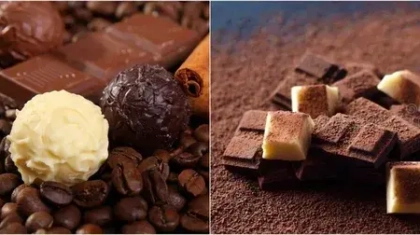 Растительные аналоги и экологические продукты