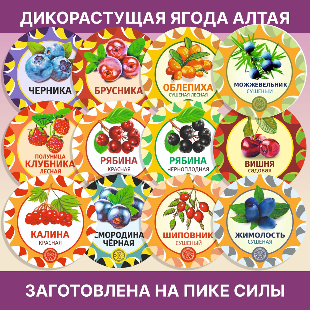 Душица, пучок.