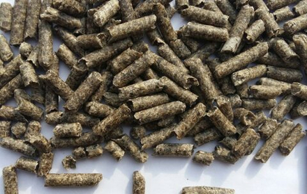 Жом свекловичный