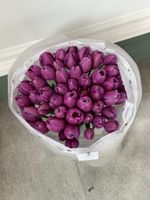 Букет из 51 фиолетового тюльпана