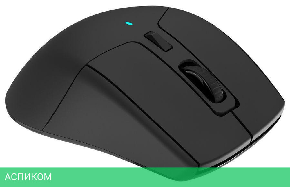 Мышь Acer OMR170 (ZL.MCEEE.00N)