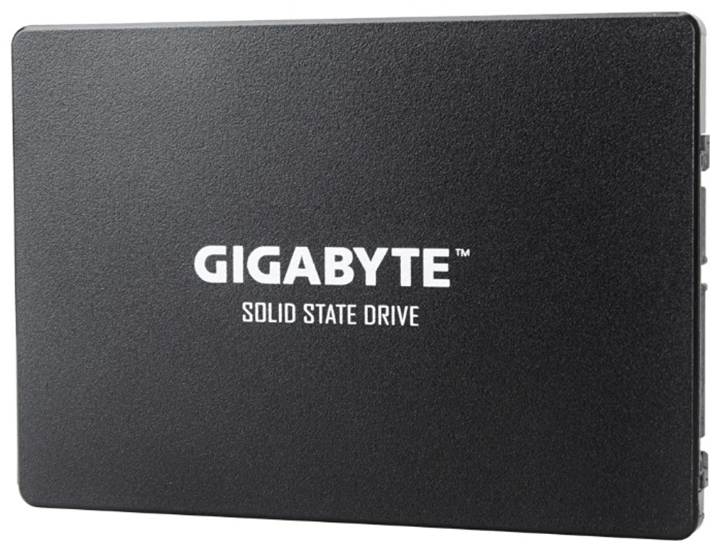 SSD GIGABYTE GP-GSTFS31256GTND 256 ГБ