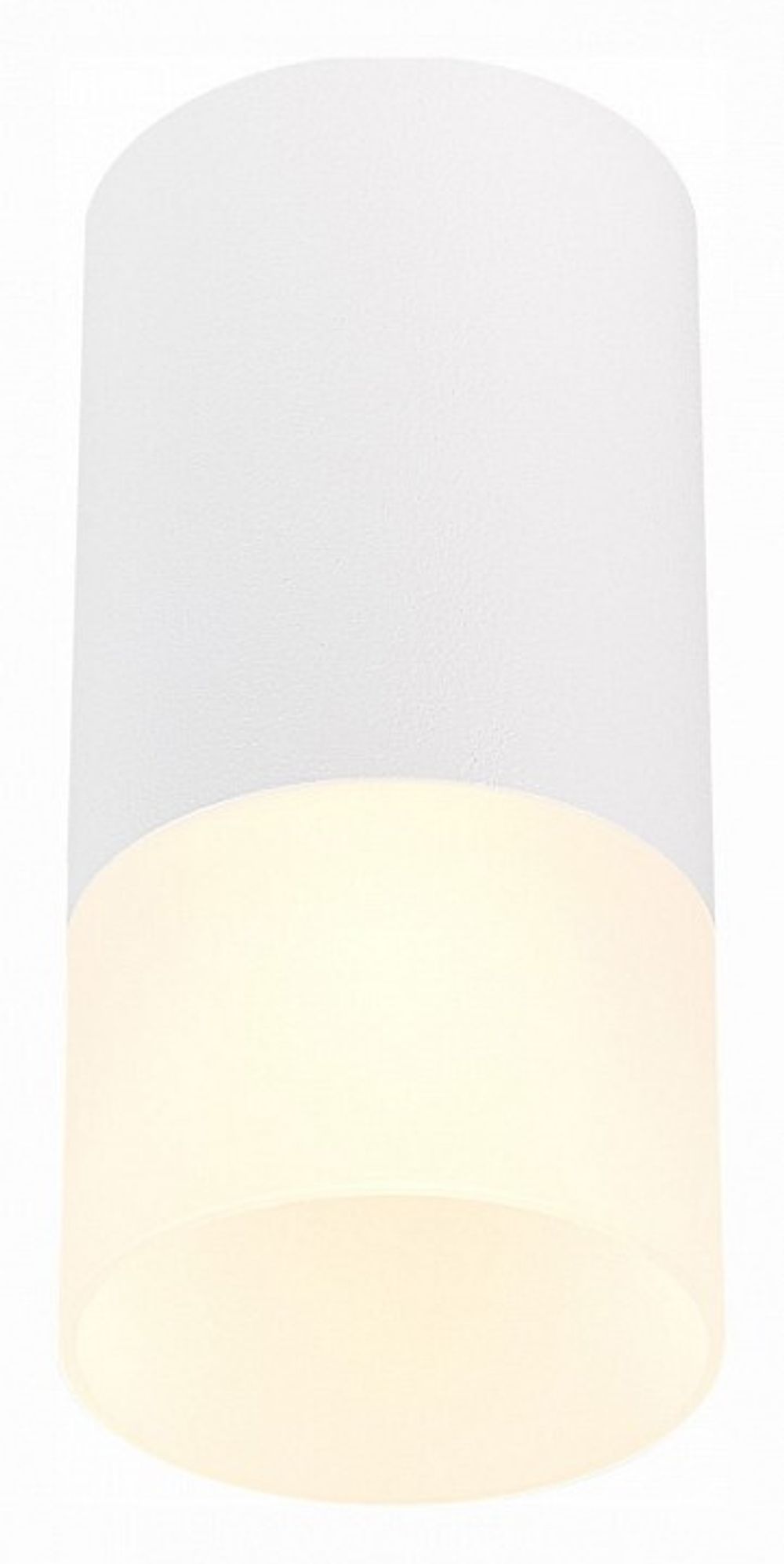 Накладной светильник ST-Luce ST100 ST100.512.01