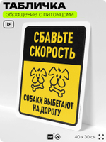 Табличка "Сбавьте скорость, собаки выбегают на дорогу" на дверь и забор, для двора, дома, подъезда, 40х30 см, Silver Plane x Айдентика Технолоджи