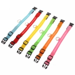 Ошейник для собак «Люмисцент» 2,5*50см светящийся, микс 6 цветов