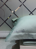 Постельное белье La Perla Light Green евро