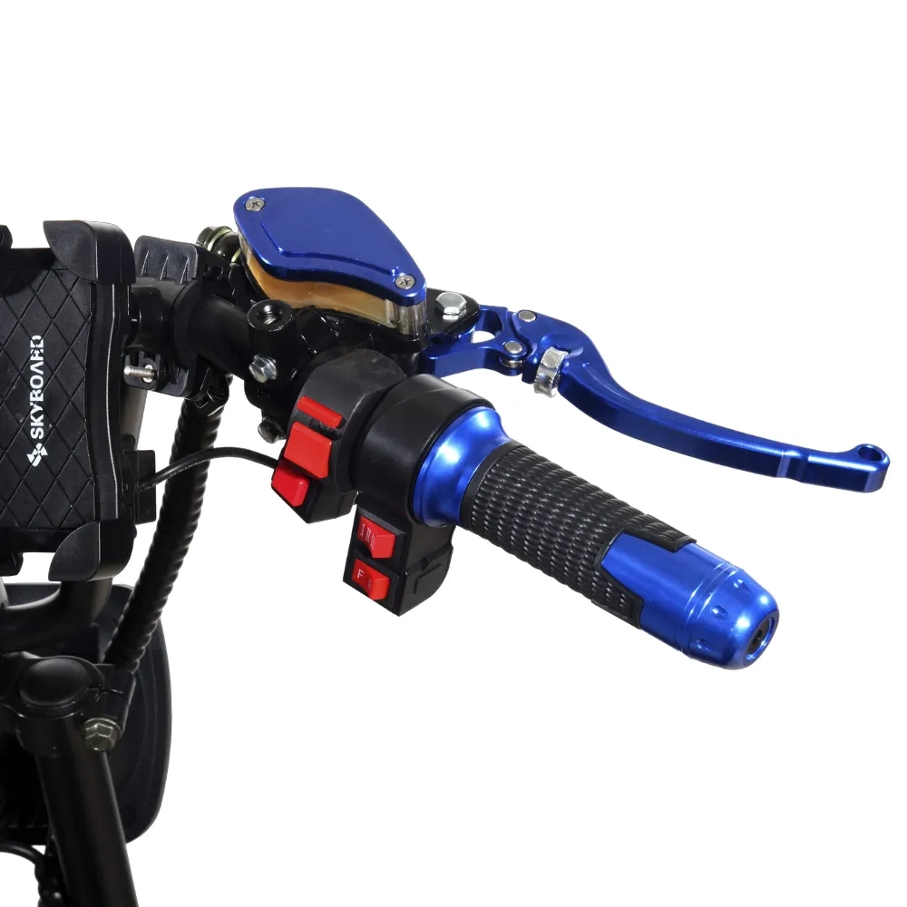 Электроскутер CityCoco Skyboard BR30-2WD (Ural) черный