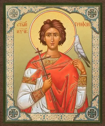Икона "Трифон Апамейский" 10х12 на МДФ-6