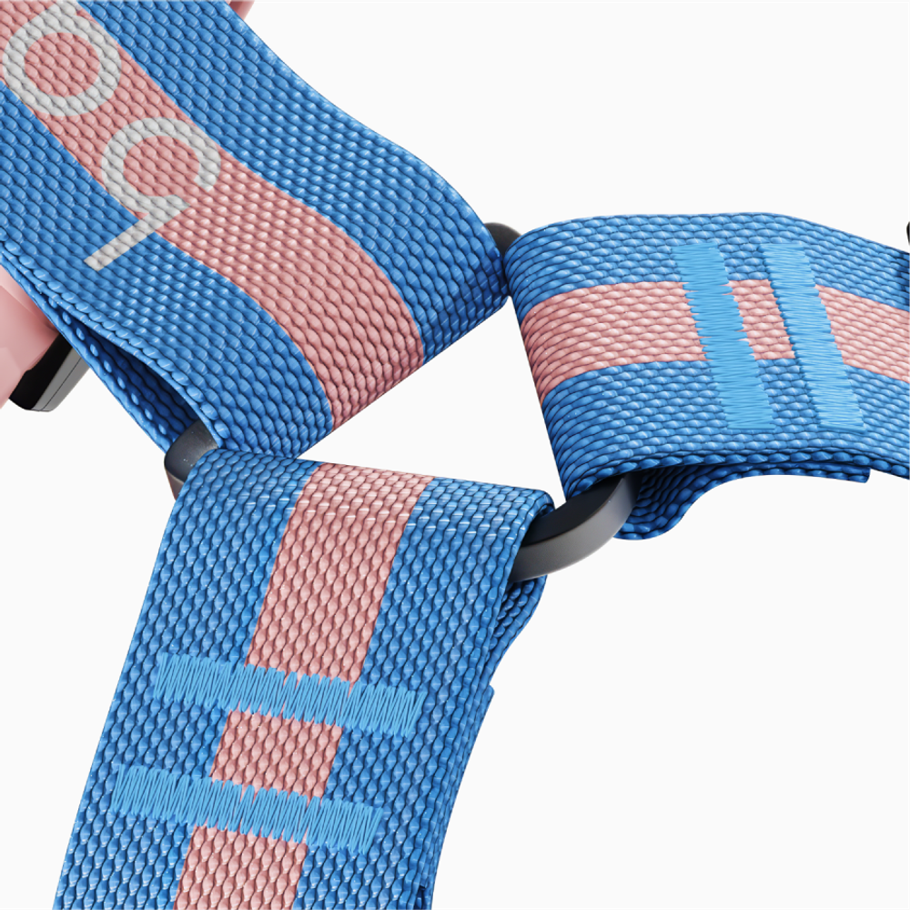 Шлейка Stripes