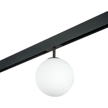 Комплект с плафоном 1*Е14 220V PRO130107 чёрный Teta Pro Lightstar